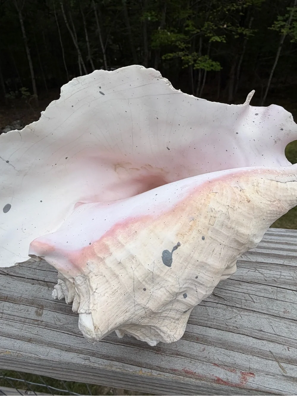 Coastal Decor weathered queen